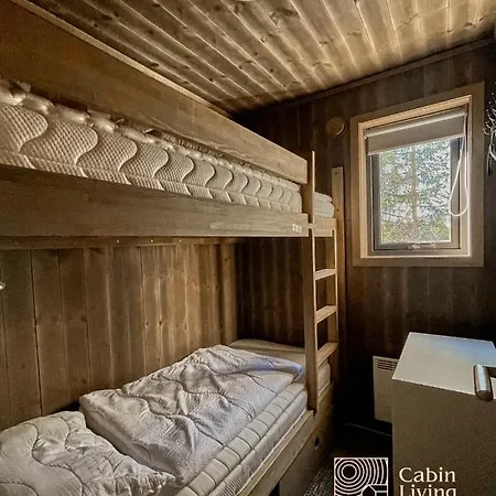 Modern Ski-in Out At Sjusjoen