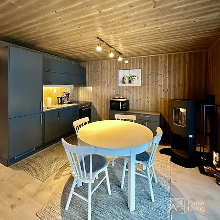 Modern Ski-in Out At